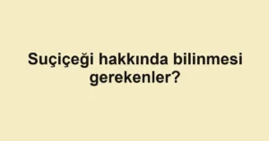 haber-gorseli-1790599666277