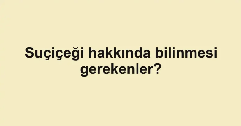 haber-gorseli-1790599666277