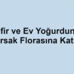 kefir-ve-ev-yogurdunun-bagirsak-florasina-katkilari